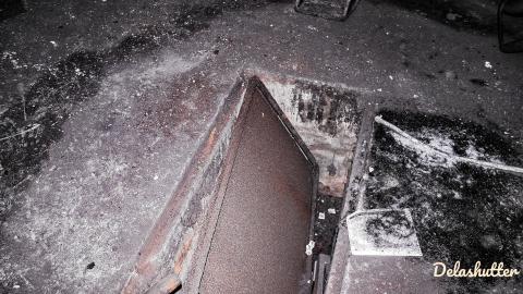 Photo from crowe's feet