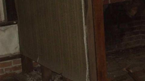 old cars 2 - tysons b-day 071.jpg