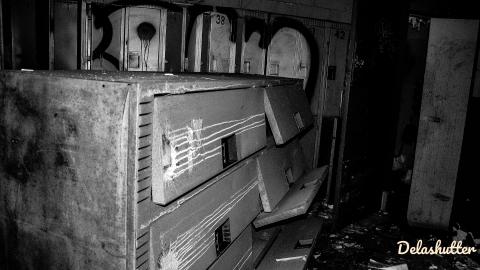 crowe's feet - Add Watermark_2022_02_20_09_18_35 (37).jpg