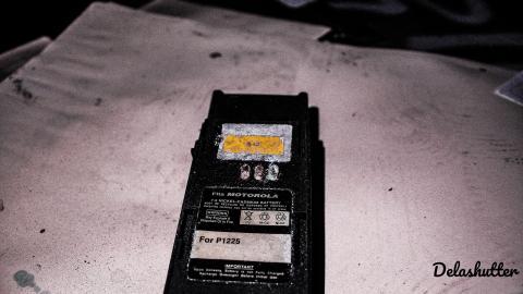 crowe's feet - Add Watermark_2022_02_20_09_18_35 (51).jpg