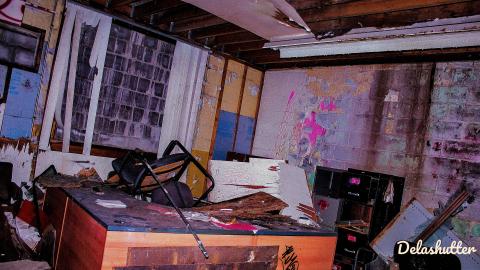 crowe's feet - Add Watermark_2022_02_20_09_18_35 (63).jpg