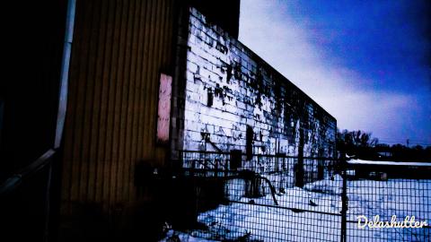 crowe's feet - Add Watermark_2022_02_20_09_18_35 (69).jpg