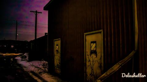 crowe's feet - Add Watermark_2022_02_20_09_18_35 (70).jpg