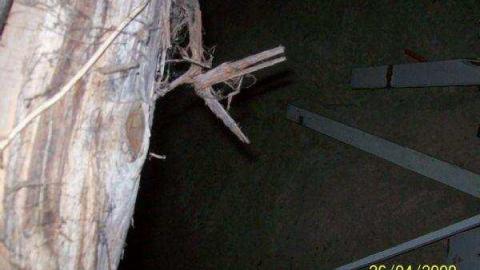 Gallery - Chelmsford-Red-House37.jpg