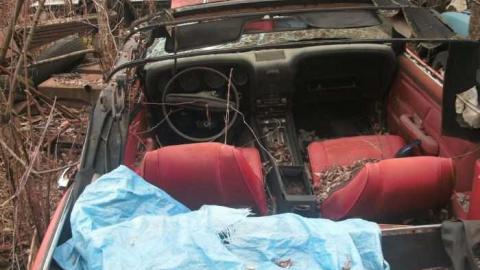 old cars 2 - tysons b-day 077.jpg