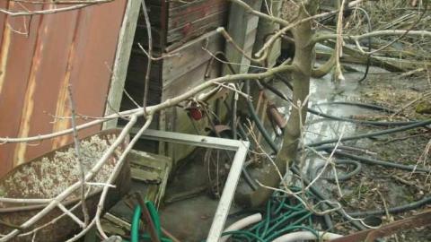 old cars 2 - tysons b-day 087.jpg