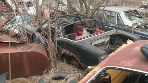 old cars 2 - tysons b-day 100.jpg