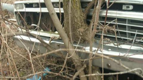 old cars 2 - tysons b-day 101.jpg