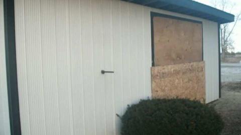 Brittania Beauty in Question photo 3