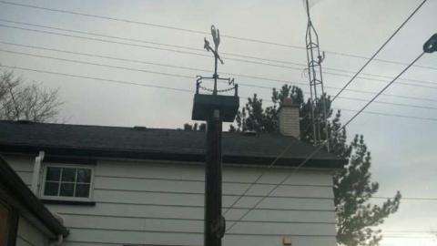 Brittania Beauty in Question photo 5