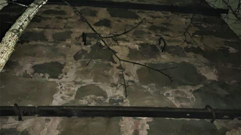 Glen Eden Lime Kiln Ruins February 2022 - IMG_4195.JPG