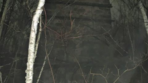 Glen Eden Lime Kiln Ruins February 2022 - IMG_4194.JPG