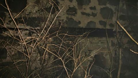 Glen Eden Lime Kiln Ruins February 2022 - IMG_4197.JPG