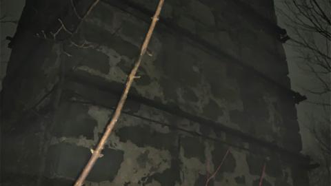 Glen Eden Lime Kiln Ruins February 2022 - IMG_4198.JPG