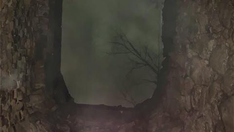 Glen Eden Lime Kiln Ruins February 2022 - IMG_4209.JPG