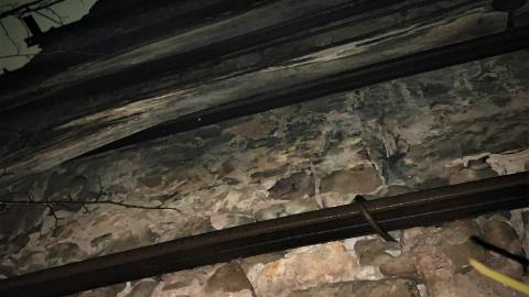 Glen Eden Lime Kiln Ruins February 2022 - IMG_4210.JPG