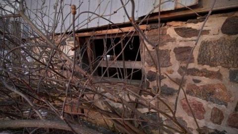 Haskill Collapsed Barn. photo 4