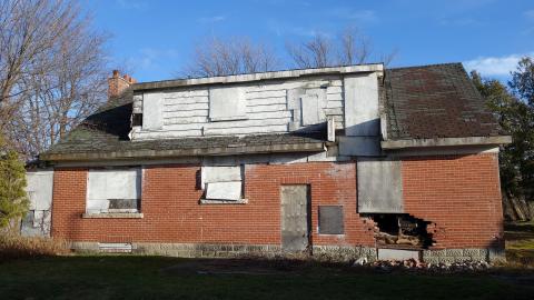 Blood Slides Dec '20 - DSC02003.JPG