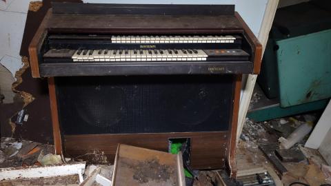 Blood Slides Dec '20 - DSC02027.JPG