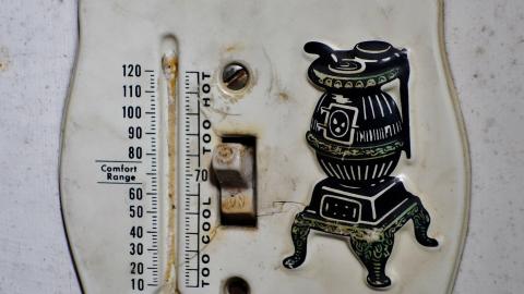 Blood Slides Dec '20 - DSC02114.JPG