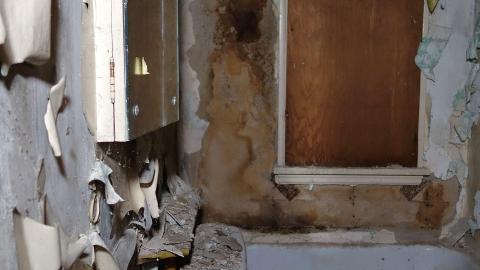 Blood Slides Dec '20 - DSC02132.JPG