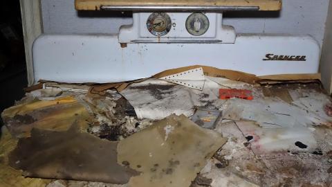 Blood Slides Dec '20 - DSC02152.JPG