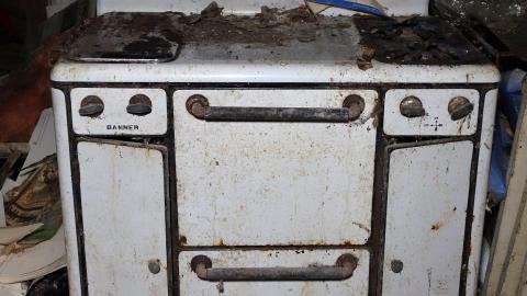 Blood Slides Dec '20 - DSC02160.JPG