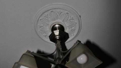 Courtland Trio photo 4