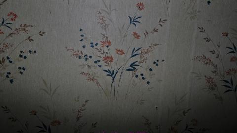 49 Courtland Ave East - IMG_0411.JPG