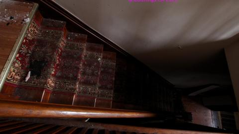 45 Courtland Ave East - IMG_0492.JPG