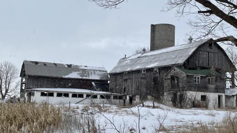 Old abandoned house and barn - 8F6AA37C-885F-45FE-ADF0-C41715B75CBD.jpeg