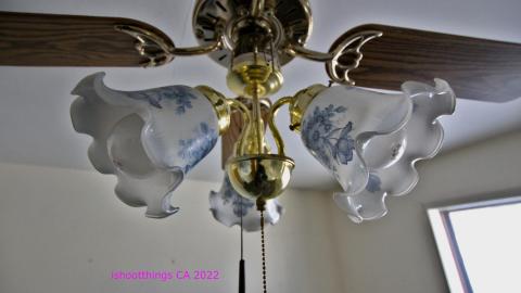 Frozen Fingers In Late JAN '22 - IMG_1725.JPG