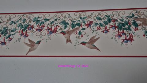 Frozen Fingers In Late JAN '22 - IMG_1729.JPG