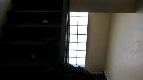 Frozen Fingers In Late JAN '22 - IMG_1755.JPG