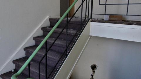 Frozen Fingers In Late JAN '22 - IMG_1758.JPG