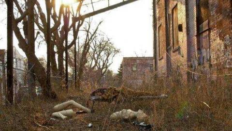 Gallery - Linseed-Factory578.jpg