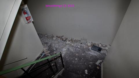 Frozen Fingers In Late JAN '22 - IMG_1784.JPG