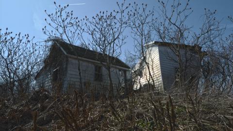 Photo from Fly Like An Eagle - March 2016