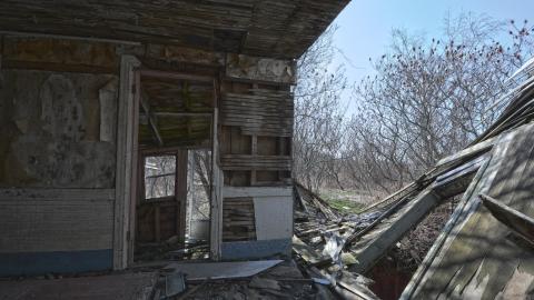 Fly Like An Eagle - March 2016 - DSC_0054.jpg