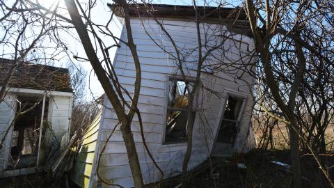 Photo from Fly Like An Eagle - March 2016