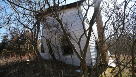 Fly Like An Eagle - March 2016 - DSC_0090.jpg