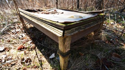 Fly Like An Eagle - March 2016 - DSC_0091.jpg