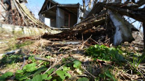 Fly Like An Eagle - March 2016 - DSC_0099.jpg