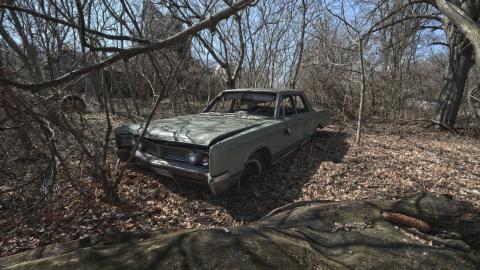 Photo from Fly Like An Eagle - March 2016