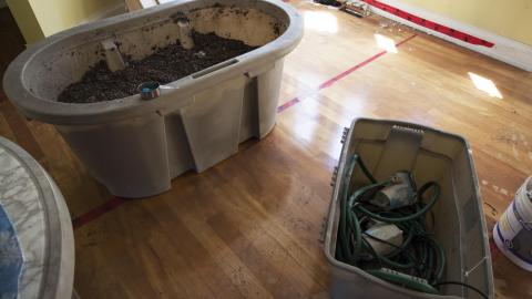 Photo from Grow Big or Grow Home - October 2015 / June 2016