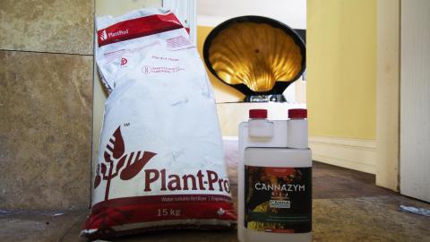 Grow Big or Grow Home - October 2015 / June 2016 - 12.jpg