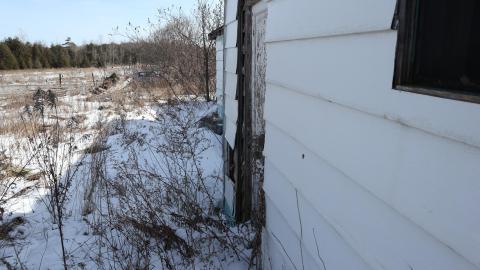 Caught red-handed - IMG_0771.JPG