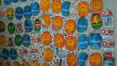 DSLR Pics - exploring the now abandoned house where my parents met-16.jpg