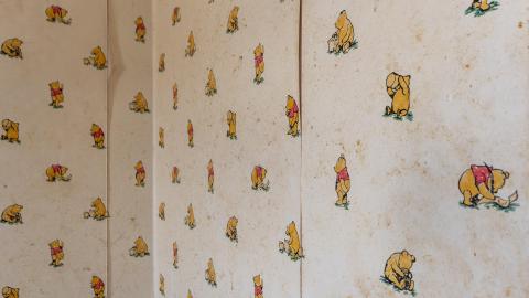 DSLR Pics - exploring the now abandoned house where my parents met-29.jpg