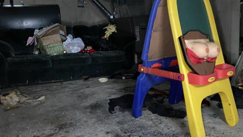 Wet and wild. - 75CBD1FB-A26A-436B-ACBC-1E55D3BA1A90.jpeg